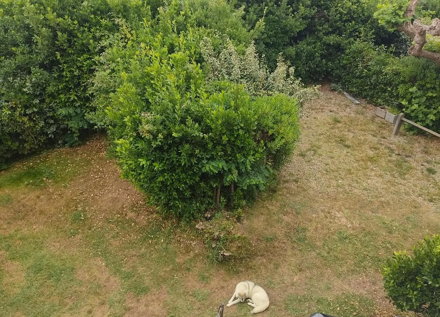 Accommodatie bij particulieren Chambre Chez L'Habitant Bidart A 300 M De La Mairie Et Plage